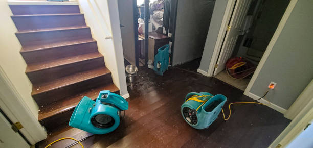 Best Water damage restoration cost  in Lawton, OK