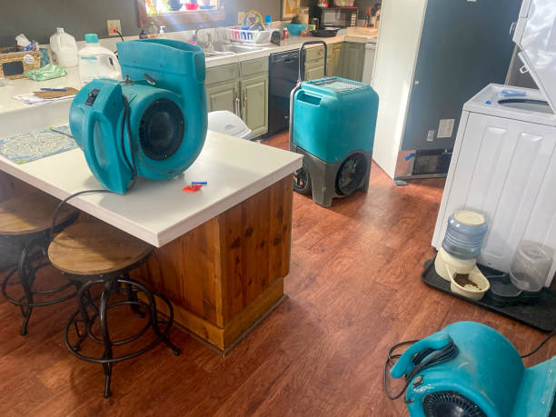 Best Mold removal after water damage  in Lawton, OK