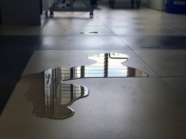 Best Professional water damage repair  in Lawton, OK
