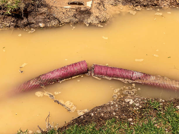 Best Sewage cleanup and water damage restoration  in Lawton, OK