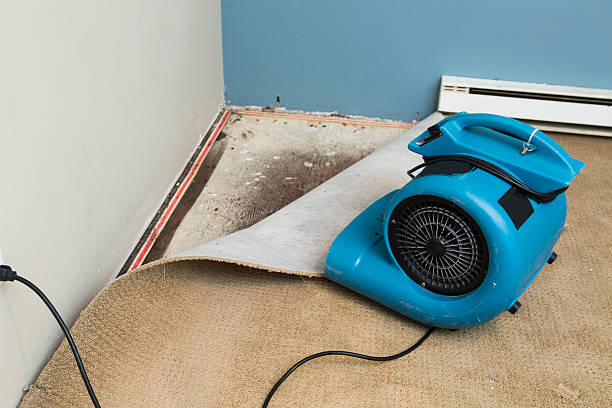  Lawton, OK Water damage restoration Pros